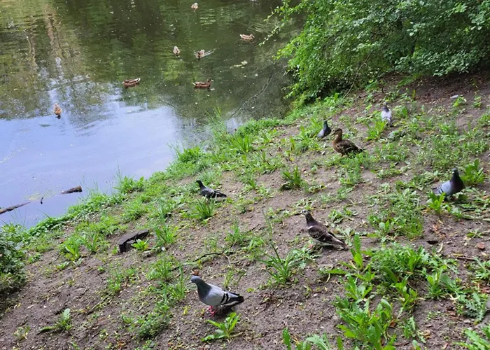 公寓 Centrum Park Komfort