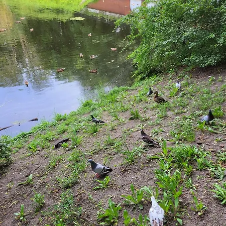 Апартаменты Centrum Park Komfort